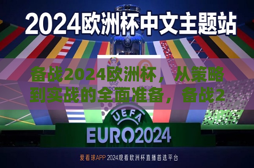 备战2024欧洲杯，从策略到实战的全面准备，备战2024欧洲杯，策略与实战的全面准备，备战2024欧洲杯，策略与实战的全面准备  第1张