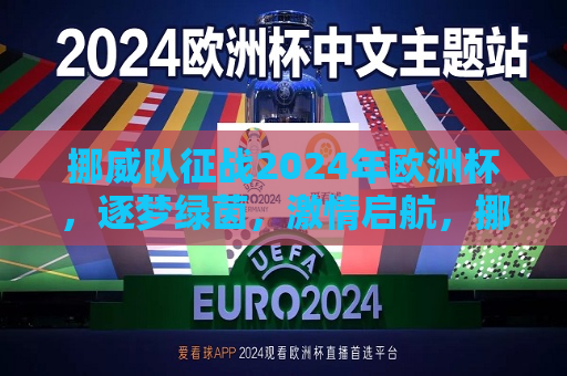 挪威队征战2024年欧洲杯，逐梦绿茵，激情启航，挪威队征战2024年欧洲杯，激情启航，逐梦绿茵之旅，挪威队征战2024年欧洲杯，激情启航，逐梦绿茵之旅