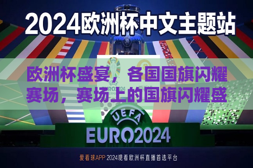 欧洲杯盛宴，各国国旗闪耀赛场，赛场上的国旗闪耀盛宴，欧洲杯赛场上的国旗闪耀狂欢