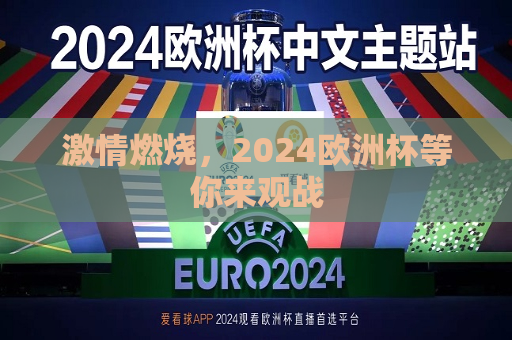 激情燃烧，2024欧洲杯等你来观战  第1张