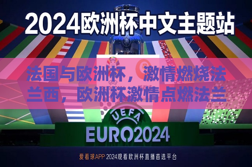 法国与欧洲杯，激情燃烧法兰西，欧洲杯激情点燃法兰西，欧洲杯激情照亮法兰西