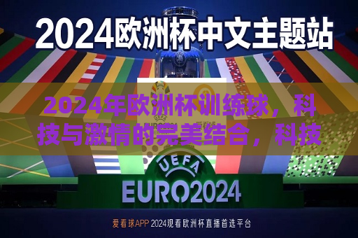 2024年欧洲杯训练球，科技与激情的完美结合，科技与激情的碰撞，揭秘2024年欧洲杯训练球  第1张