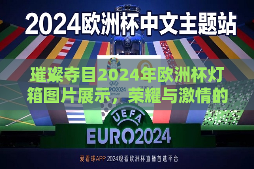 璀璨夺目2024年欧洲杯灯箱图片展示，荣耀与激情的碰撞  第1张