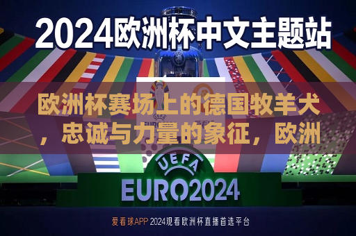 欧洲杯赛场上的德国牧羊犬，忠诚与力量的象征，欧洲杯赛场上的忠诚与力量，德国牧羊犬的荣耀时刻，德国牧羊犬荣耀时刻，欧洲杯赛场上的忠诚与力量