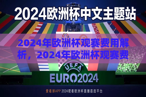 2024年欧洲杯观赛费用解析，2024年欧洲杯观赛费用全解析，2024年欧洲杯观赛费用全攻略