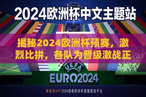 揭秘2024欧洲杯预赛，激烈比拼，各队为晋级激战正酣，2024欧洲杯预赛激战，各队为晋级激烈比拼，2024欧洲杯预赛激战，各队为晋级权展开激烈比拼  第1张