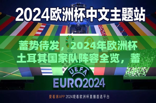 蓄势待发，2024年欧洲杯土耳其国家队阵容全览，蓄势待发，土耳其国家队备战2024年欧洲杯的强势阵容