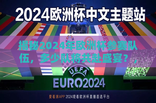 揭秘2024年欧洲杯参赛队伍，多少队将共赴盛宴？，2024年欧洲杯参赛队伍揭晓，多少队伍将齐聚盛宴？，2024年欧洲杯参赛队伍揭晓，多少队伍将齐聚盛宴？  第1张