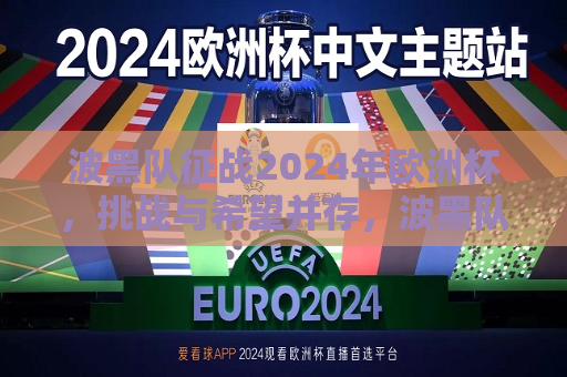 波黑队征战2024年欧洲杯，挑战与希望并存，波黑队征战2024欧洲杯，挑战与希望同行，波黑队征战2024欧洲杯，挑战与希望同行