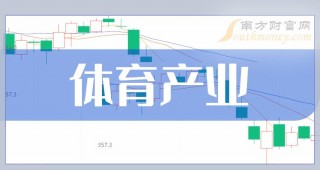 2024欧洲杯中体产业(欧洲杯2024在哪个国家)，2024年欧洲杯主办国家揭晓，中体产业迎来新机遇？，2024年欧洲杯主办国家揭晓，中体产业迎来新机遇？