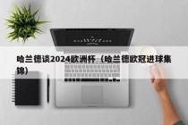 哈兰德谈2024欧洲杯（哈兰德欧冠进球集锦），哈兰德展望2024欧洲杯，欧冠进球集锦展现惊人实力