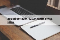 2024欧洲杯配色（2024欧洲杯配色足球鞋）