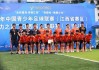 u15足球(u15足球世界杯)