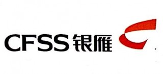 足球cfss(足球cf是什么)，揭秘足球CFSS与足球CF的真正含义，足球CFSS与足球CF的真正含义及区别