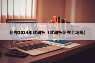 伊布2024年欧洲杯（欧洲杯伊布上场吗）