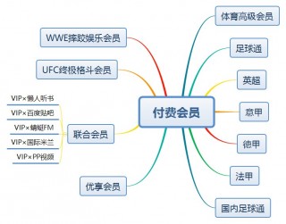 pp体育足球通版权(pp体育有哪些足球版权)