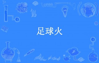 足球火第5(足球火2018)