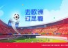 2024年欧洲杯中国香港的简单介绍，2024年欧洲杯，中国香港队伍简介，中国香港队参加2024年欧洲杯简介