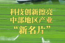 2024欧洲杯实力梯度(欧洲杯2024在哪个国家)，2024年欧洲杯实力梯度揭晓，东道国实力如何？，2024年欧洲杯实力梯度揭晓，东道国实力究竟如何？