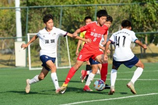 沙井足球(沙井足球培训)，沙井足球培训，打造足球新星，培养未来足球力量