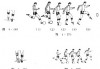足球动作教学(足球动作教学方法)