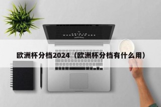 欧洲杯分档2024（欧洲杯分档有什么用），欧洲杯分档揭晓，揭示背后的战略意义与影响，欧洲杯分档揭晓，战略意义与影响，引领2024赛事格局