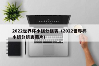 2022世界杯小组分组表（2022世界杯小组分组表图片），揭秘！2022世界杯小组分组表全览，揭秘！2022世界杯小组分组表全览，赛事分组一目了然