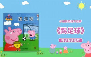 踢足球的故事(踢足球的故事作文)