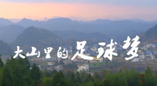 大山足球(大山里的足球场)