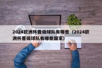 2024欧洲杯晋级球队有哪些（2024欧洲杯晋级球队有哪些国家），揭秘2024欧洲杯晋级球队名单及国家概览，揭秘2024欧洲杯晋级球队名单及国家概览