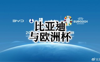 2024关于欧洲杯书籍(2021年欧洲杯好的文章)，探索欧洲杯，从2021年的精彩文章到未来的足球盛宴