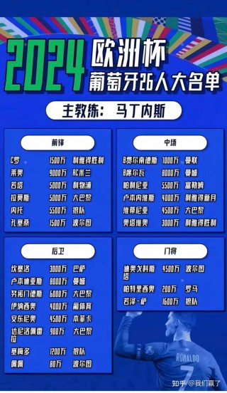 2024欧洲杯签证政策(2024欧洲杯签证政策最新消息)，最新消息，揭秘2024欧洲杯签证政策调整，揭秘最新消息，2024欧洲杯签证政策调整