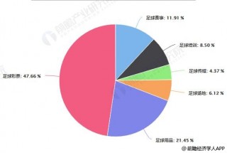 足球产业分析(足球产业发展分析)，足球产业深度解析，现状与未来发展趋势，足球产业深度解析，现状与未来发展趋势