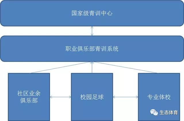 足球体制(足球体制内是什么意思)，足球体制解析，探究足球体制内的含义  第2张