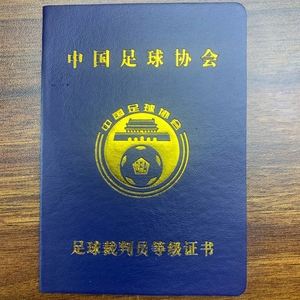 足球国家一级裁判(足球国家一级裁判员)  第2张