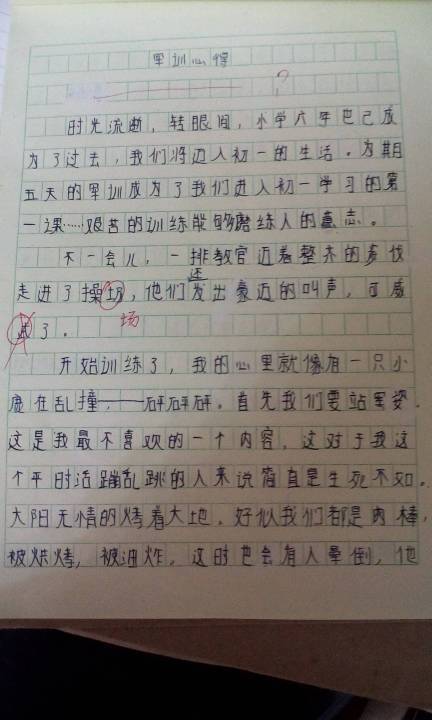 关于足球的周记(关于足球的周记800字)  第1张