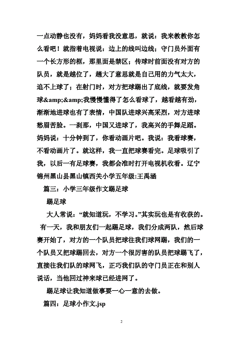 关于足球的周记(关于足球的周记800字)  第2张