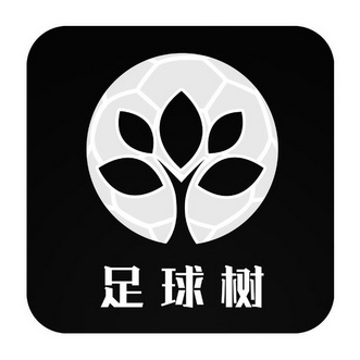 足球信用网(足球信用网平台)  第2张